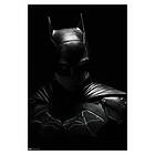 Hybris The Batman Dark Poster (61x91 cm)