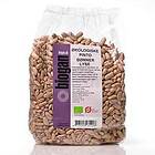 Biogan Pintobönor Ekologisk 1kg