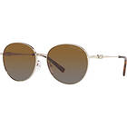 Michael Kors MK1119 57 1014T5 Alpine Sunglasses