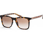 Coach HC8374F 54 512013 Fashion Sunglasses