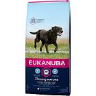 Eukanuba Dog Senior Large 15Kg