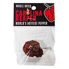 Chili Carolina Reaper i Påse 1 gram