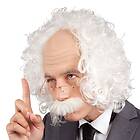 Einstein Perukset One size