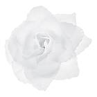 PartyDeco Självhäftande Rosor Vit 24-pack