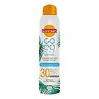 MIST Carroten Dry SPF30 Coconut Dreams 200ml