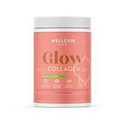 Peach Wellexir Glow Beauty Drink Ice Tea 300g