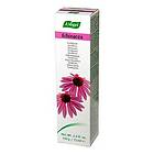 A.Vogel Echinacea Tandkräm 100g 21878