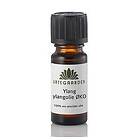 Urtegaarden Ylang ylangolie eko 5ml H15507