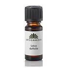 Urtegaarden Lotus Doftolja 10ml H15537