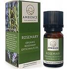 Ambience Rosemary Oil Ekologisk 10ml