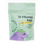 Great Earth D-Vitamin Kids Refill 60 gummies