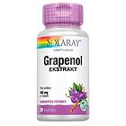 Solaray Grapenol 100 mg 30 Kapsler H17802