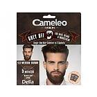 Delia Cosmetics Cameleo Men Hair, beard and mustache coloring cream No. 4,0 medium brown 15mlx2