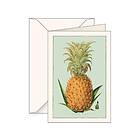 Pineapple B6 carnet envelope 5960