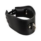 Bad Kitty Collar black