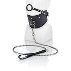 Zenn Collar With Mouth Ring & Leash
