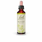 Bach Kosttillskott Mustard 20ml