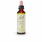 Bach Kosttillskott Chestnut Bud 20ml