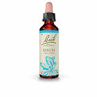 Bach Beech 20ml