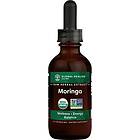 Global Healing Moringa Extrakt