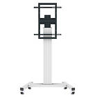 Celexon Professional Plus display rullstativ Fixed-42100M-LP (landskap/porträtt)