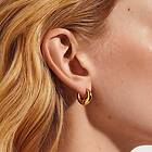 Safira Forever Dreamer Hoops