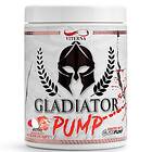 Viterna Gladiator Pump 440g Strawberry Mango Vegan