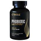 Self Omninutrition Probiotic Lactospore 60 Caps