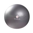 Sveltus Gymball 65cm