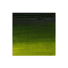 Artists Oil Col 200ML SAP GREEN 599