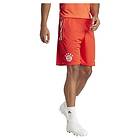 Adidas Bayern Munich 23/24 Shorts Training Orange L
