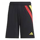 Adidas Fortore 23 Shorts Svart 11-12 Years Pojke