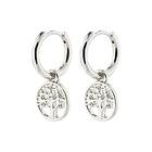 Pilgrim Iben Earrings Smycken & klockor