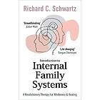 Richard Schwartz: Introduction to Internal Family Systems