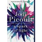 Jodi Picoult: Spark Of Light