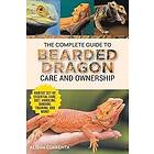 Alisha Cuarenta: The Complete Guide to Bearded Dragon Care and Ownership