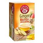 Teekanne Ingerfära/Mango 20 tepåsar