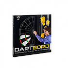 Longfield Training Dart Set