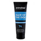 Animology Hair Of The Dog Shampo (250ml)