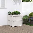 vidaXL Odlingslåda vit 60x60x60 cm massiv furu 837426