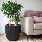vidaXL Capi Kruka Groove 43x41 cm svart 445489