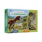 Auzou Coffret A la découverte des dinosaures NE