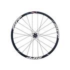Zipp 30 Course Tubdäck Campagnolo Bakhjul Disc