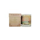 Durance Provence France Gingerbread Perfumed Natural Candle 280g