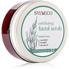 Sylveco Face Care Ansiktsskrubb För por-minimerare och hud som ser matt ut 75ml 