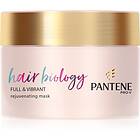 Pantene Hair Biology Full & Vibrant Hårmask För svagt hår 160ml female