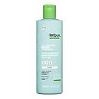 Imbue Coil Rejoicing Leave In Conditioner 400ml