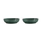 Seltmann Weiden Terra skål Ø25.5 cm 2-pack Moss Green