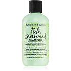 Bumble And Bumble Seaweed Shampoo Schampo för lockigt hår Med sjögräsextrakt 250ml female