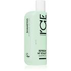 Natura Siberica ICE Professional Refresh My Scalp Cleansing Detoxifying Shampoo 